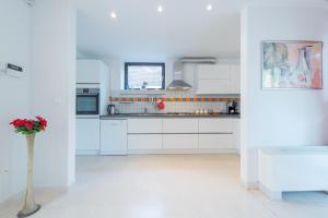 Кухня или мини-кухня в Gorgeous apartment Dora
