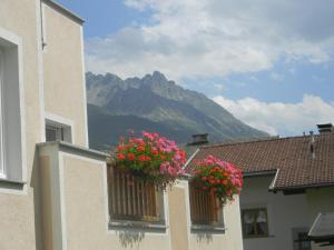 two windows with flowers on them with a mountain in the background at Haus Zentner in Nauders