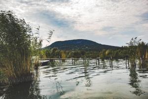 Príroda v okolí dovolenkového domu
