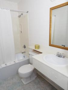 a bathroom with a toilet and a sink and a mirror at Ambassador Motel in Sault Ste. Marie