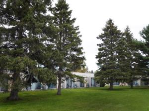 un groupe d'arbres devant un bâtiment dans l'établissement Ambassador Motel, à Sault-Sainte-Marie