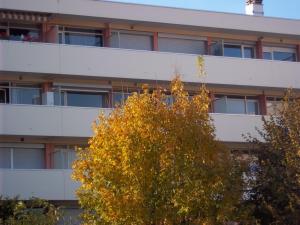een appartementencomplex met een boom ervoor bij Résidence les Peupliers in Chamalières