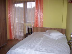 a bedroom with a white bed in front of a window at Pensiunea Roua Diminetilor in Ruşca