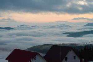 Ảnh trong thư viện ảnh của Pensiunea Carmen ở Ranca