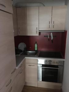 Kuchyň nebo kuchyňský kout v ubytování Traunsee Apartment 60 m2