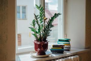 Perpustakaan di apartmen