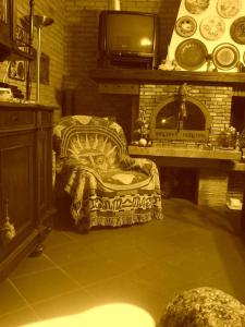 uma sala de estar com uma cadeira e uma lareira em B&B ANNA em Forlì