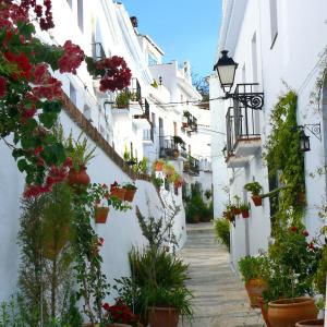 un callejón con flores y macetas en edificios blancos en Apartamento La vida en Málaga