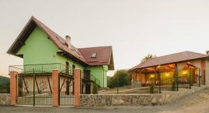 a green house with a brown roof at Cabana Dintre Vii in Apoldu de Sus