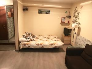 a bedroom with a bed and a television in it at Apartment on Mozhayskoye in Odintsovo