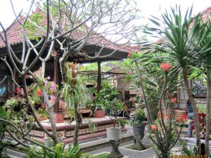 a garden with a bunch of plants in front of a house at Nyoman Murjana Homestay in Ubud