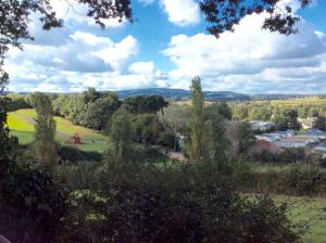 a view of a park with trees and a field at Warren View in Dawlish