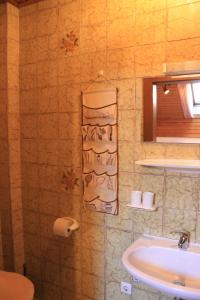 a bathroom with a sink and a toilet paper holder at Haus Weber Pressegger See in Hermagor