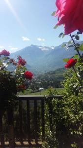 a view of a valley with flowers and mountains at Schwarzplatterhof in Merano
