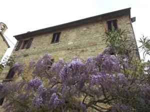 A garden outside La Mandola