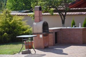 Billede fra billedgalleriet på Pensiunea Anca i Baile Felix + 38 billeder