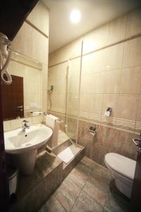 uma casa de banho com um lavatório e um WC em Guest House pri Vodniku em Ljubljana