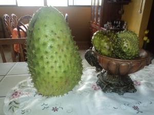 a green object on a table next to a bowl of fruit at Posada Rural Oasis in Caño Negro