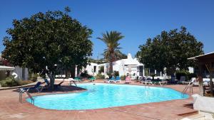 a large swimming pool with chairs and palm trees at Bungalow 2-7 Playa del Ingles in Playa del Ingles