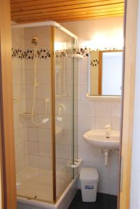baño pequeño con ducha y lavamanos en Hotel-Restaurant Zum Goldenen Hahnen, en Markgröningen