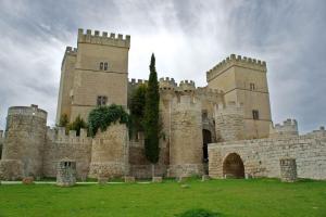 un grande castello con due torri su un campo verde di La Pavana a Valoria del Alcor