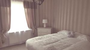 a bedroom with a bed and a lamp and a window at Dumfries Central apartment in Dumfries