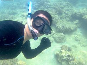 Snorkeling at/o diving sa guest house o sa malapit