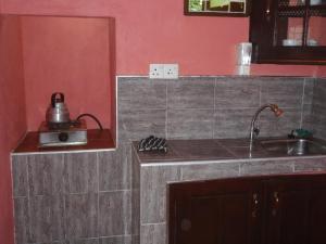 een keuken met een wastafel en een aanrecht bij New Jaya Villa in Bentota