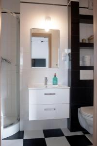 uma casa de banho com um lavatório, um WC e um espelho. em Kapart City em Rzeszów