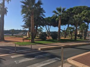 a street with palm trees and a bench in a park at Cap Soleil in Antibes