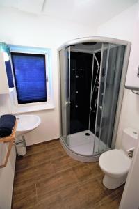 a bathroom with a shower and a toilet and a sink at Gartenloft Ruheoase in Kleinotten