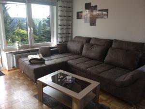 ein Wohnzimmer mit einem braunen Sofa und einem Tisch in der Unterkunft Ferienwohnungen Kolsdorf A in Braunlage