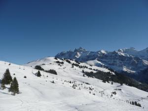 Celine 9, Champery durante el invierno