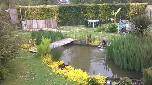 a pond in a garden with a bench and grass at La Roseraie de Gamaches in Gamaches