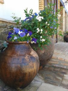 dos grandes jarrones llenos de flores azules y blancas en Finca El Chaparral en Cortelazor