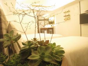 a potted plant sitting on top of a table at Formosa Boulerard Garden Hotel in Kaohsiung