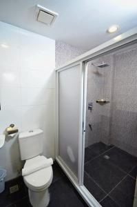 a bathroom with a toilet and a shower at Hotel Formosa Daet in Daet