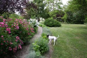 A garden outside Villa Belfiore