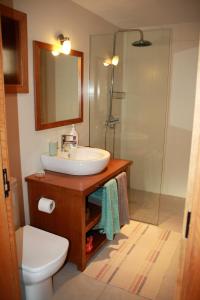ein Bad mit einem Waschbecken, einer Dusche und einem WC in der Unterkunft Casa da Eira Velha in Vale de Cambra