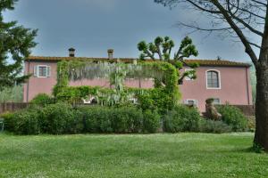 a pink house with ivy on the side of it at B & B San Jacopo in Santomato 