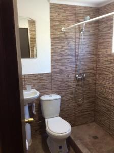 a bathroom with a toilet and a sink and a shower at Cottages by the river in Rivadavia