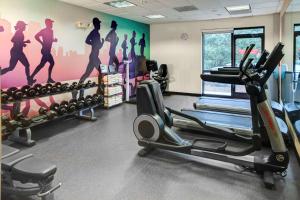 a gym with tread machines and a wall mural at Candlewood Suites - Cincinnati Northeast - Mason, an IHG Hotel in Mason