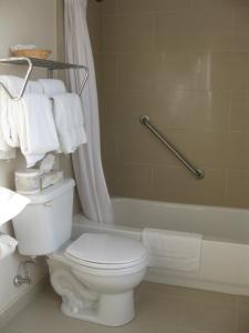 a bathroom with a toilet and a bath tub with towels at Glynmill Inn in Corner Brook