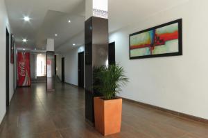 a hallway with a potted plant and a painting on the wall at Hotel Plaza Roma in Ríohacha