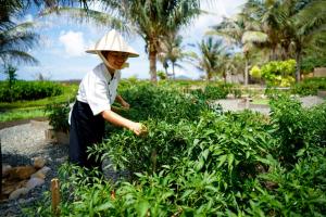 a woman wearing a hat standing in a garden at Six Senses Con Dao - Turtle Island Paradise in Con Dao