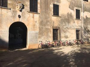 eine Gruppe von Fahrrädern, die vor einem Gebäude geparkt sind in der Unterkunft Finca Son Vivot in Inca