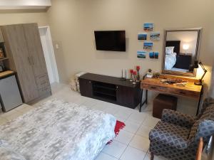 a living room with a television and a mirror at Studio on Bourdeaux in Panorama