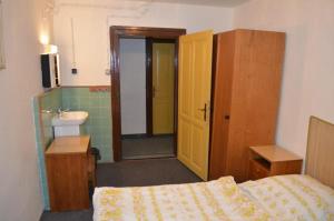 ペツ・ポト・スニェシュコウにあるChata Slunečnáのベッドルーム1室(ベッド1台、シンク付)、バスルーム1室が備わります。