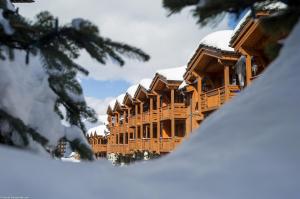 Residence Les Chalets du Forum - maeva Home v zimě