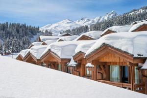Residence Les Chalets du Forum - maeva Home v zimě